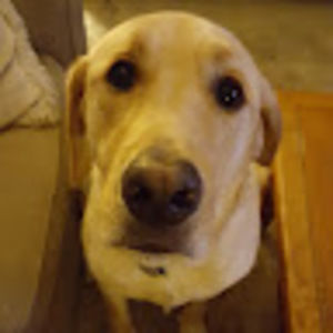 Meet your Posher, Doug